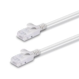 Lindy 47580 kabel sieciowy Szary 0,3 m Cat6a U/UTP (UTP)