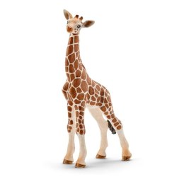 Schleich WILD LIFE 14751 figurka dla dzieci