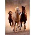 Clementoni Running Horses Puzzle układanka 1000 szt. Animals