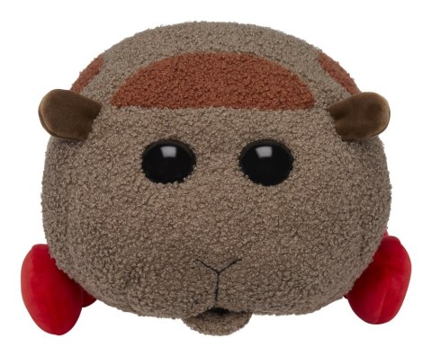 Pui Pui Molcar Medium 11" Plush- Teddy