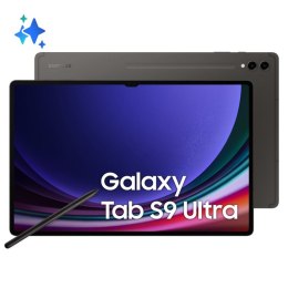 Samsung Galaxy Tab S9 Ultra SM-X916B 5G 256 GB 37,1 cm (14.6