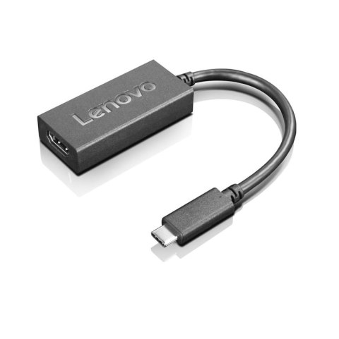 Lenovo GX90K37871 zewnętrzna karta graficzna usb Czarny