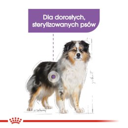 ROYAL CANIN CCN Medium Sterilised - sucha karma dla psa dorosłego - 3kg