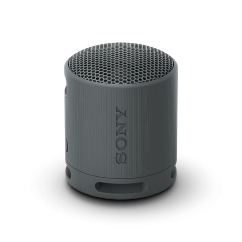 Sony SRS-XB100 Głośnik mono przenośny Czarny