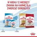 ROYAL CANIN SHN Medium Puppy - sucha karma dla szczeniąt - 15 kg