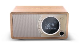 Radio cyfrowe Sharp DR-450(BR) z technologią Bluetooth