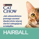 PURINA CAT CHOW Hairball Kurczak 85g