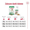 Royal Canin SHN Mini Adult 4kg