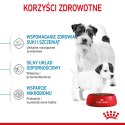 ROYAL CANIN Starter Mini Mother & Babydog - sucha karma dla szczeniąt i suk w ciąży oraz okresie laktacji - 1 kg