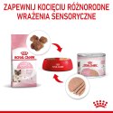 ROYAL CANIN FHN Babycat Instinctive Feline mus - mokra karma dla kociąt - puszka - 195 g