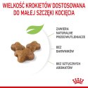 ROYAL CANIN FHN Kitten - sucha karma dla kociąt - 10kg