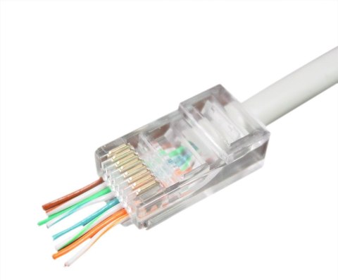 Wtyk RJ45 UTP 8P8C przelotowy 50 szt. Gembird