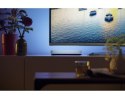 Philips Hue Play biała 2-pak