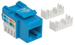 Intellinet 210546 Moduł Keystone RJ45 UTP Cat5e, Punch-Down, niebieski_