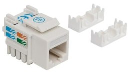 Intellinet Moduł Keystone RJ45 UTP Cat6 biały