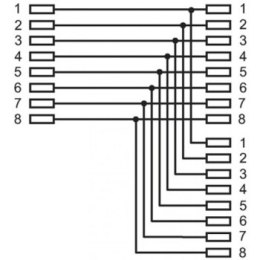 Intellinet Trójnik RJ45