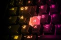 Klawiatura gamingowa SteelSeries Apex 3 Tenkeyless Klawiatura do gier Światło LED RGB Amerykańskie przewodowe przełączniki Whisp