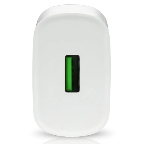 EverActive Ładowarka sieciowa 1X USB 18W QC3.0 Biała