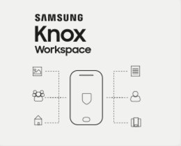 Samsung KNOX Workspace Container - License (1 year) + Full support 1 lat(a)