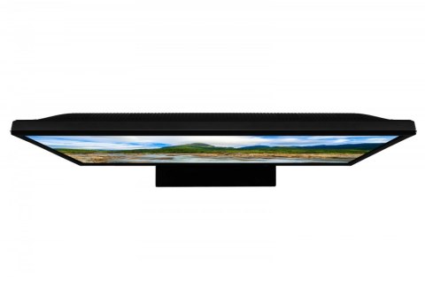 Toshiba Telewizor LED 24 cale 24WV3F63DG