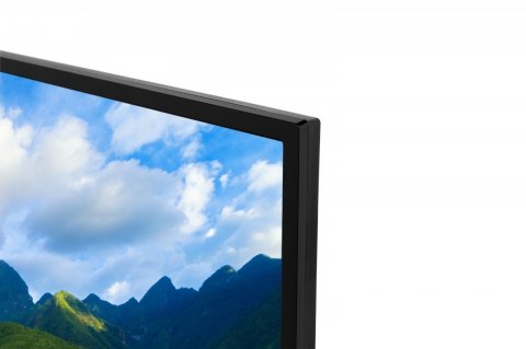 Toshiba Telewizor LED 24 cale 24WV3F63DG