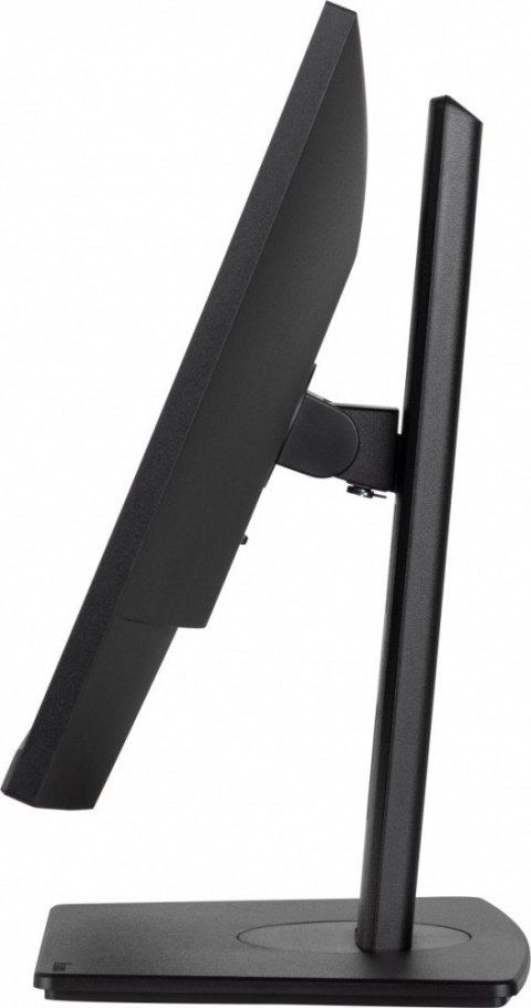 IIYAMA Monitor 24 cale XUB2493HSU-B7,IPS.HDMI.DP.2x2W.USBx2,300cd