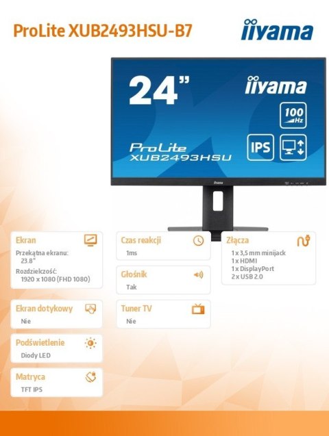 IIYAMA Monitor 24 cale XUB2493HSU-B7,IPS.HDMI.DP.2x2W.USBx2,300cd