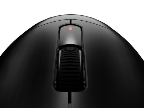 Natec Mysz Fury TANTO T4 RGB 12000DPI gamingowa czarna