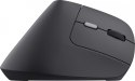 Trust Mysz bezprzewodowa YVI TM-270 ERGONOMIC WIRELESS MOUSE