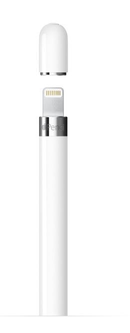 Apple Rysik Pencil 1. generacja