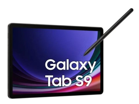 Samsung Tablet Galaxy Tab S9 X716 5G 11 cali 12/256 GB szary