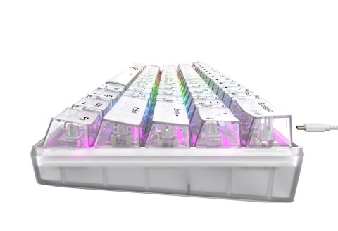 Klawiatura gamingowa Havit KB903L (biel transparentna)