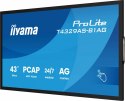 IIYAMA Monitor 43 cale T4329AS-B1AG VA,4K,HDMIx2,USB-C,RJ45,2x10W,WiFi, Android 14, Signal FailOver, Whiteboard, iiSignage (CMS), i