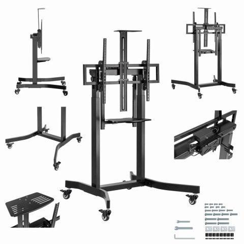 GEMBIRD STOJAK POD TELEWIZOR REGULACJĄ WYSOKOŚCI MOBILNY, NA KÓŁKACH, 55"-100"