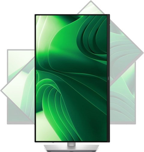 MONITOR DELL PRO PLUS LED 23,8" P2425DE 100Hz