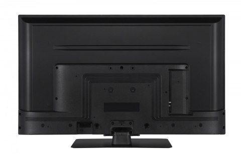 Toshiba Telewizor QLED 43 cale 43QV3F63DG