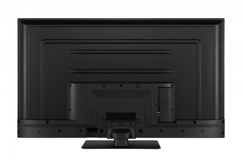 Toshiba Telewizor QLED 55 cali 55QV3F63DG