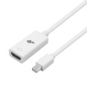 TB Adapter Mini DisplayPort M - HDMI F biały