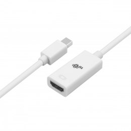 TB Adapter Mini DisplayPort M - HDMI F biały