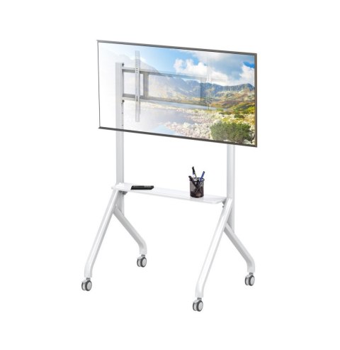 Uchwyt do TV TECHLY ICA-TR53LW (nośność 100kg /65 - 100)