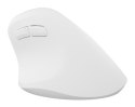 NATEC MYSZ WERTYKALNA CRAKE 2 BEZPRZEWODOWA 2400DPI BT 5.2 +2.4GHZ BIAŁA