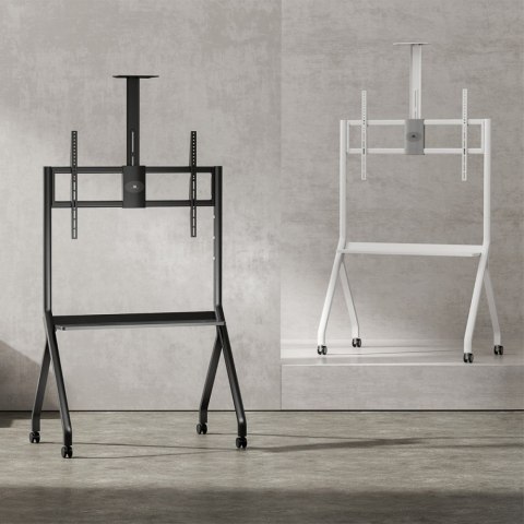 Maclean Stojak na kółkach do TV MC-114 B