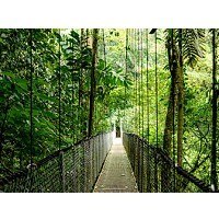 HP Inc. Komputer ProDesk 4 Tower G1i Desktop AI PC U5-225 512/16/W11P 9H7U6ET