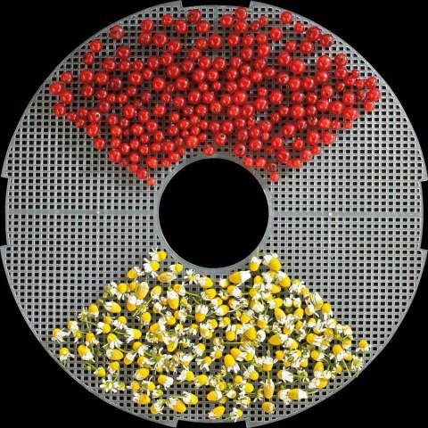 Suszarka Gorenje FDK 24 DW Przezroczysty, Biały 240 W