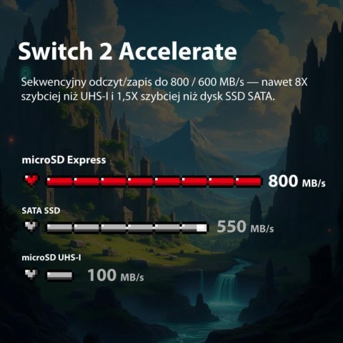 Patriot Karta microSDXC 256GB Express 800/600MB/s Nintendo Switch 2