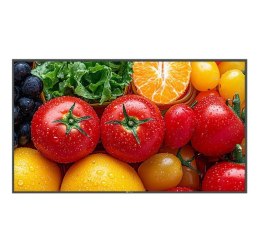 AG NEOVO Monitor wielkoformatowy QM-5503 CZARNY 500cd/m2 5000:1 24/7 4K