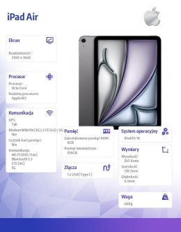 Apple IPad Air 11 cali WiFi + Cellular 256GB Szary