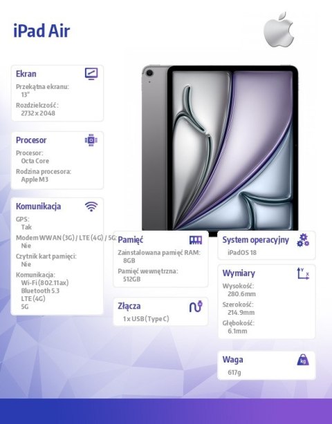 Apple IPad Air 13 cali WiFi + Cellular 512GB Szary