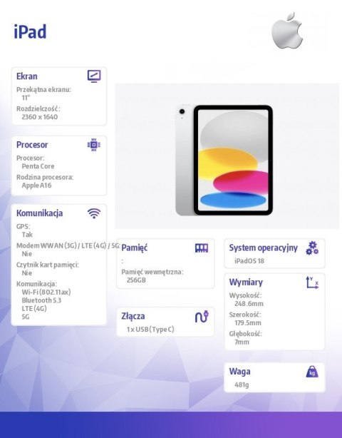 Apple IPad WiFi + Cellular 11 cali 256 GB Srebrny