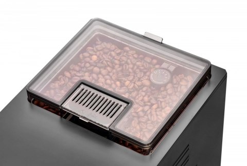 Amica Ekspres ciśnieniowy Elegance CM 7011